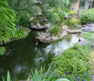 Наши водоемы