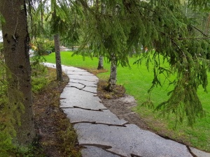 Наши дорожки