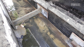 Сестрорецк, Прифундаментный дренаж - 2