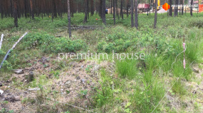 Заезд на участок, Энколово К - 2