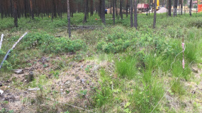 Заезд на участок, Энколово К - 2