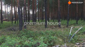 Заезд на участок, Энколово К - 3