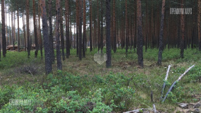 Заезд на участок, Энколово К - 3