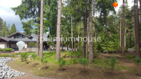 Ландшафт, Солнечное - 18