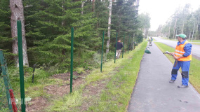 Временный забор - 1