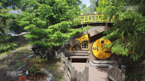 Ландшафт, Солнечное - 21