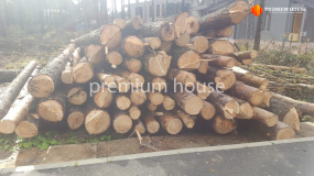 Подготовительные работы. Дом Райт - 3