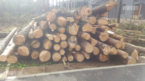 Подготовительные работы. Дом Райт - 3