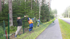 Временный забор - 3