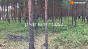 Заезд на участок, Энколово К - 4