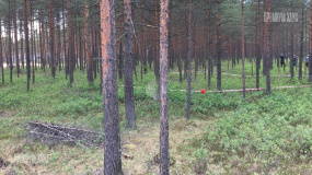 Заезд на участок, Энколово К - 4