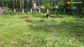 До начала работ. Вырубка деревьев - 1