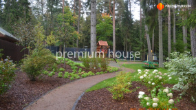 Ландшафт, Солнечное - 4