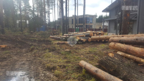 Подготовительные работы. Дом Райт - 2