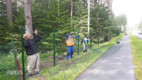 Временный забор - 2